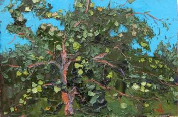 �����. ���������� �������