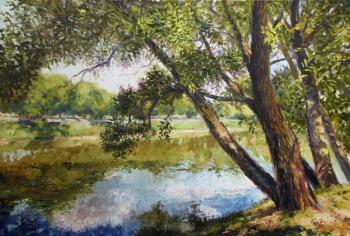 Ponds near the Novodevichy Monastery. Rodionov Igor