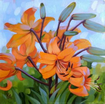 ������� �������