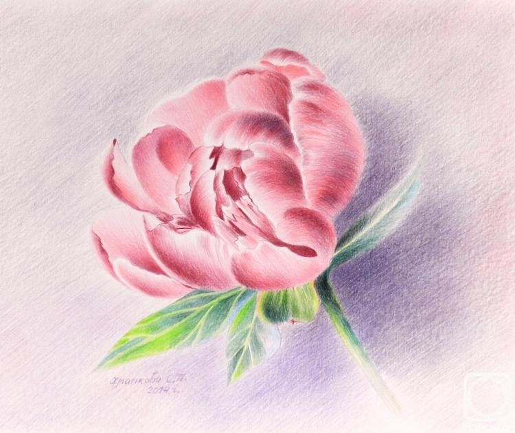 �������. �������� ��������. ����