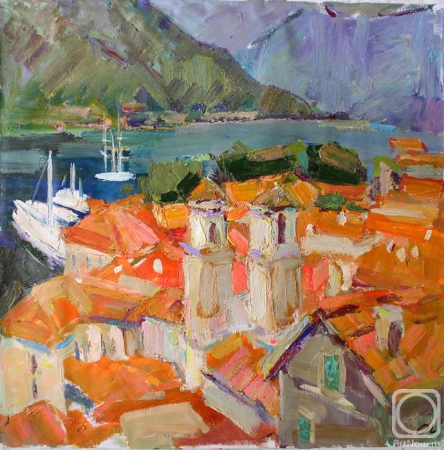 Lishaieva Olesia. Roof