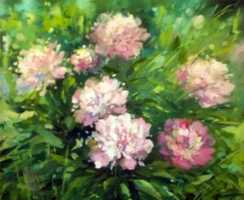 Bush peonies in the garden (Bush Of Pink Peonies). Gerasimova Natalia