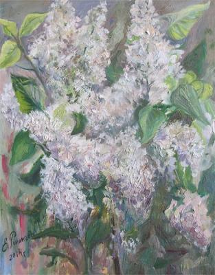 ������. �������� �����