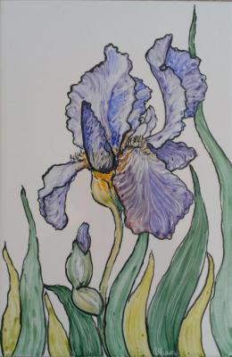 Iris. Yakimets Olga