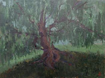 ������� ���������