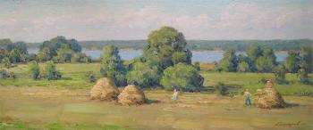 It's haymaking time. Gaiderov Michail
