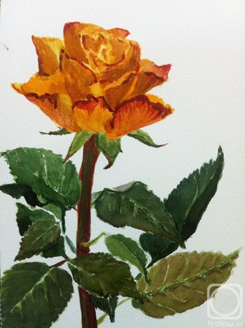 �������. ���������� �����. ����