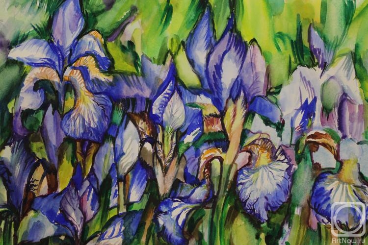 Vazhenina Nadezhda. Cottage motifs. Irises