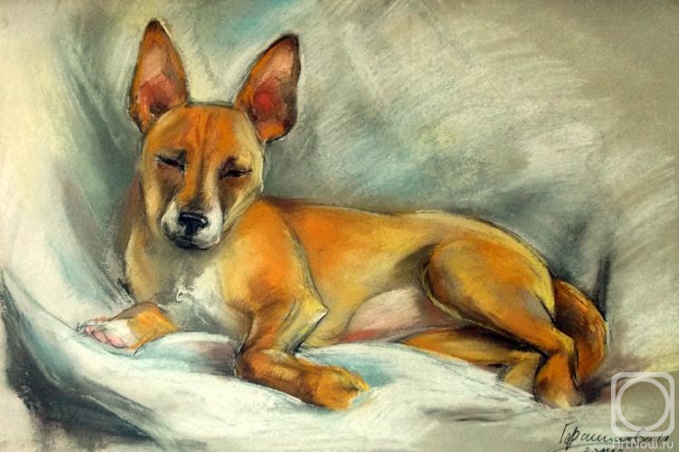 �������. ���������� �������. � ����� �� �����