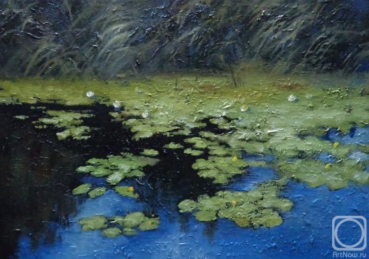 ������� ������ �� ������. ���������� �������. ����������.���� �����