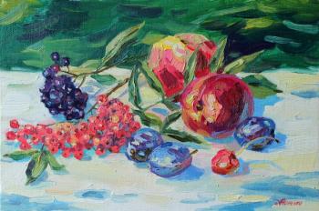 Still life with mountain ash