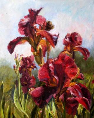 �������� ����� ��������. �����