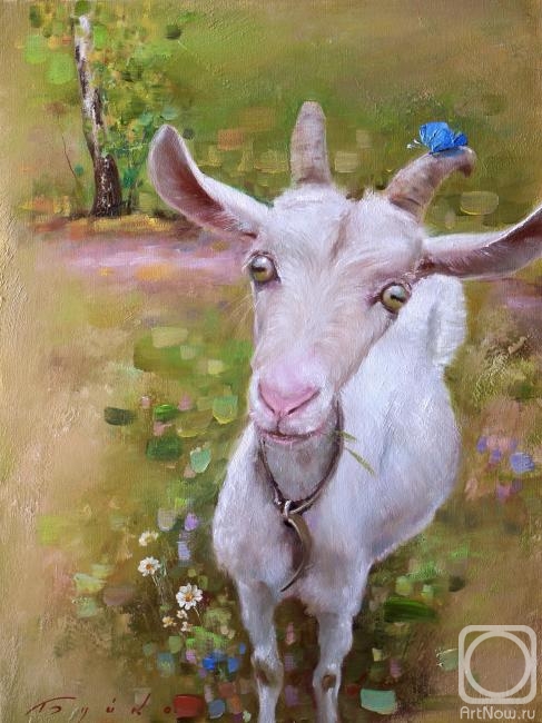 ������� ������ �� ������. ����� ����. ������