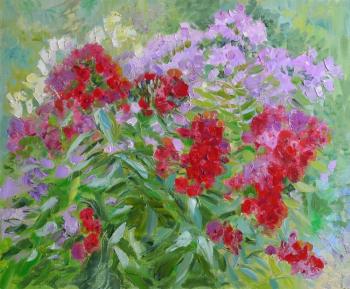 ������� �8 �������. �������