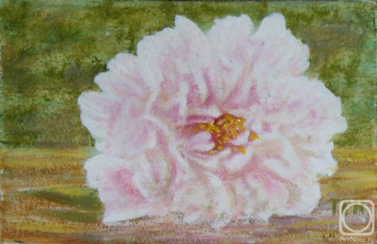 �������. ���������-������������ ������. ���� �� �����