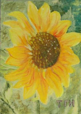 Sunflower. Kudryashov Galina