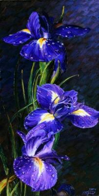 Irises. Krasovskaya Tatyana