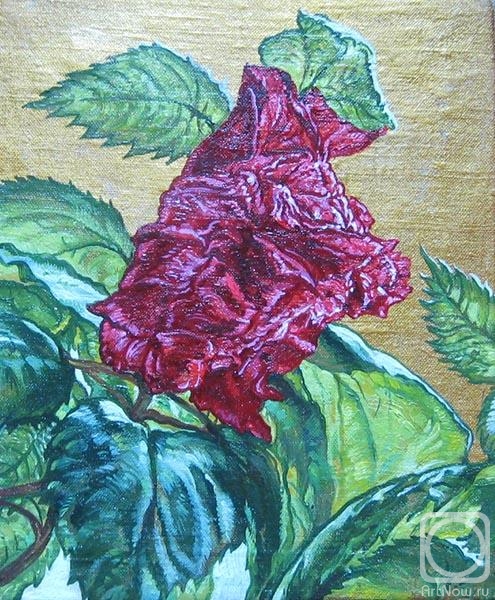 ������� ������ �� ������. ������� ������. ����