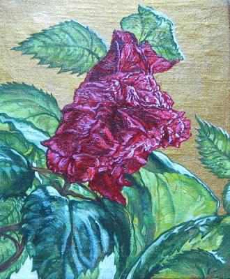 ������� �����