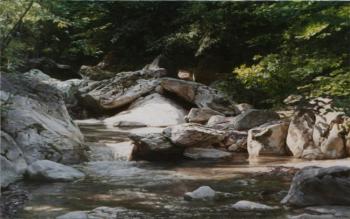The stream (reproduction). Ulibin Guennadi