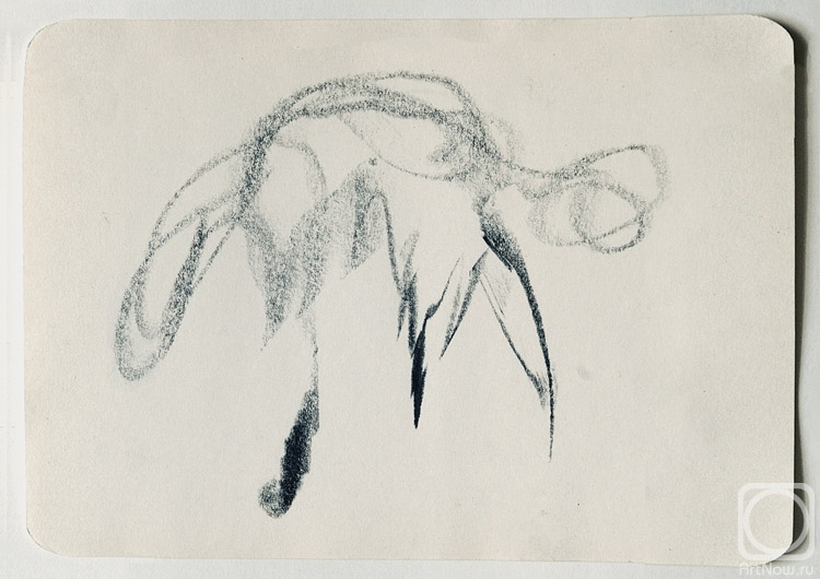 �������. �������� ���������. ��������