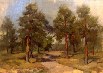 Pines in the out-of-town park (etude). Schavleva Svetlana