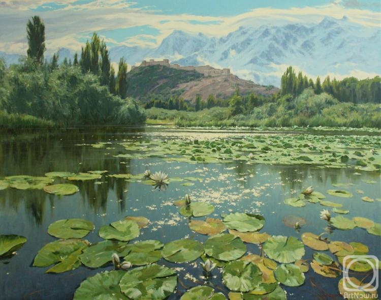 Puchkov Artem. On the lakes of Srinagar" (India)
