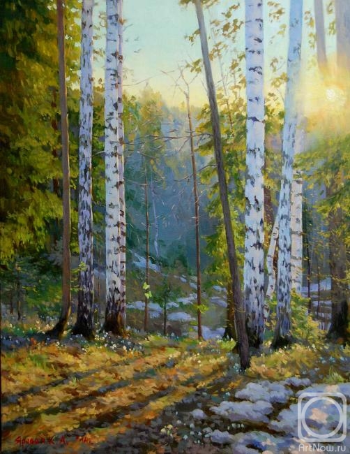 Весенний лес» картина Яровой Ксении маслом на холсте — купить на ArtNow.ru