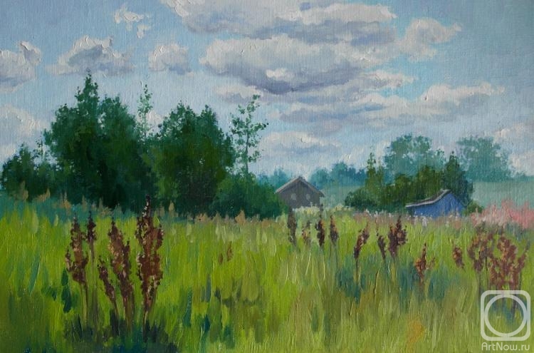 Pogylaj Ksenija. Wild sorrel