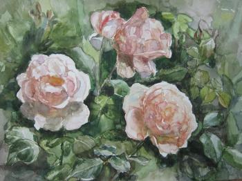 Roses in the garden. Gaydamaka Anna