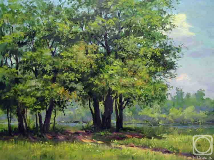 Drobinin Alexandr. Oaks