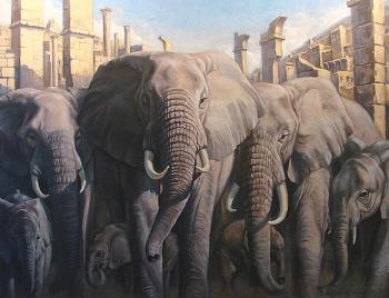 Elephants. Khodchenko Valeriy