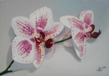 ������� �~*�������*~�