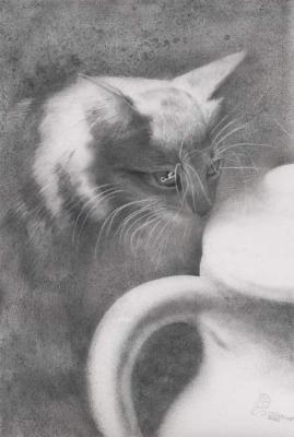 A Cat. Chernov Denis