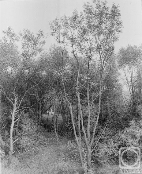 �������. ��������� ����. �������