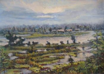 The Swamp. Lazarev Dmitry