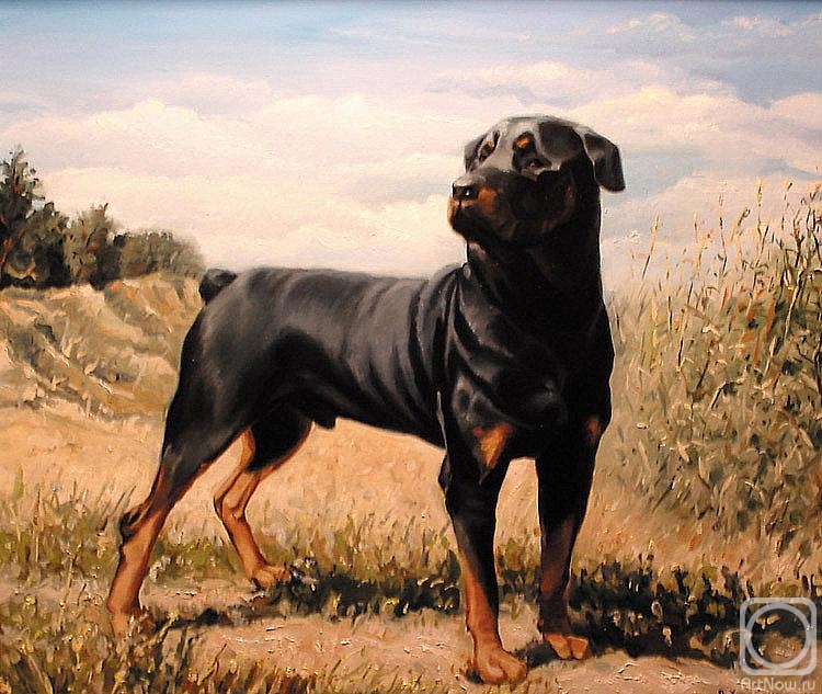 Khodchenko Valeriy. Dog