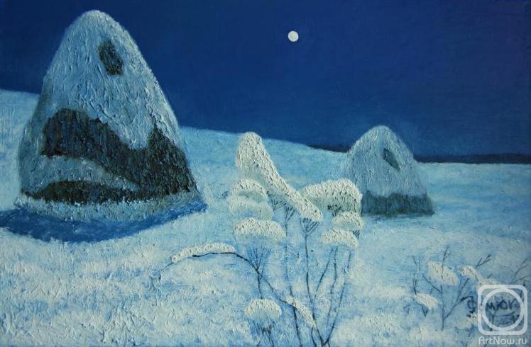 Fomyuk Vasiliy. Lunar silence