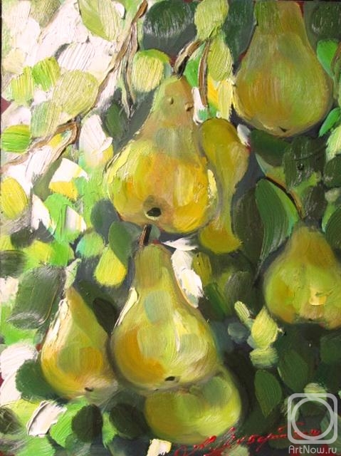 �������. ������ �������. ����