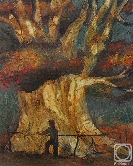 �������. ������ �������. ��� �������. 16