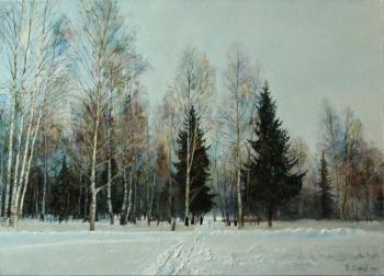 Birches in the park. Gatchina. Egorov Viktor