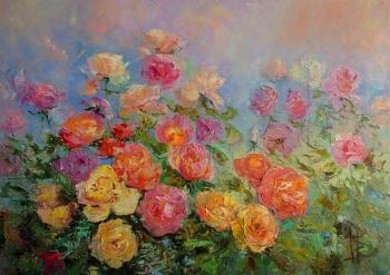 Garden of beautiful roses