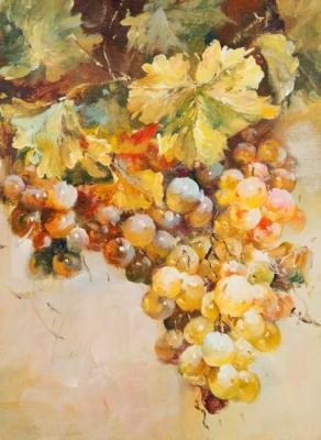 Bunch of grapes. Vinogradov Vladimir