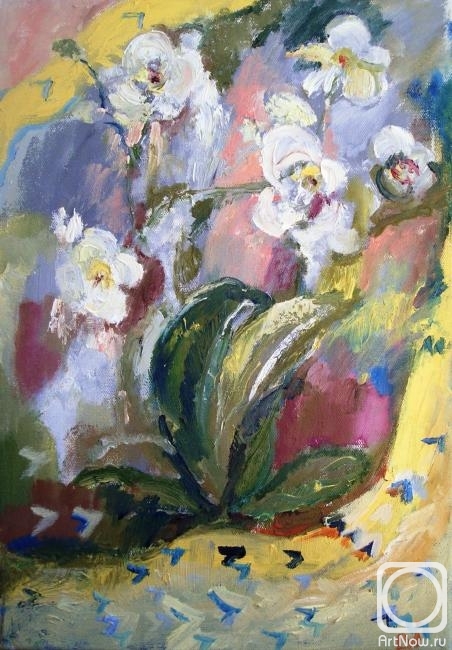 ������� ������ �� ������. ������� ������. ������ ����