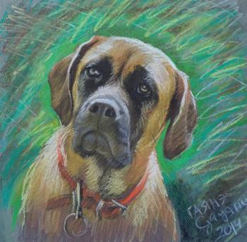 Painting Dog -4. Dobrovolskaya Gayane