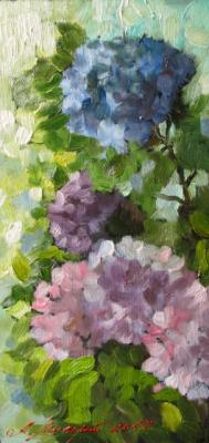 ������� ����������