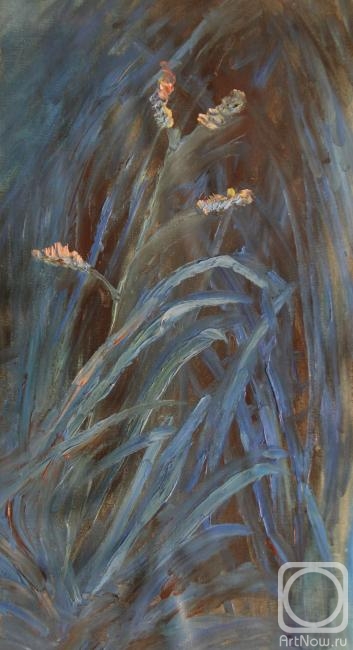 ������� ������ �� ������. ���������� �����. ������ �����