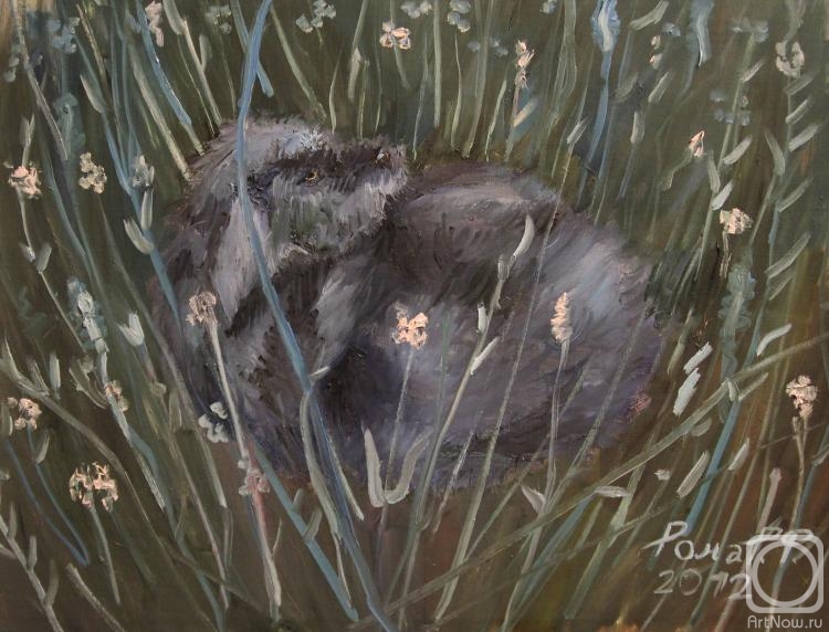 ������� ������ �� ������. ���������� �����. ����� � �����