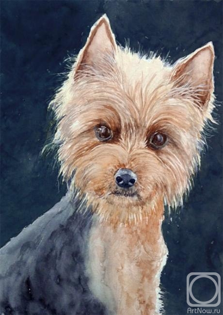 �������. ������ ����. ������� ��� ��������