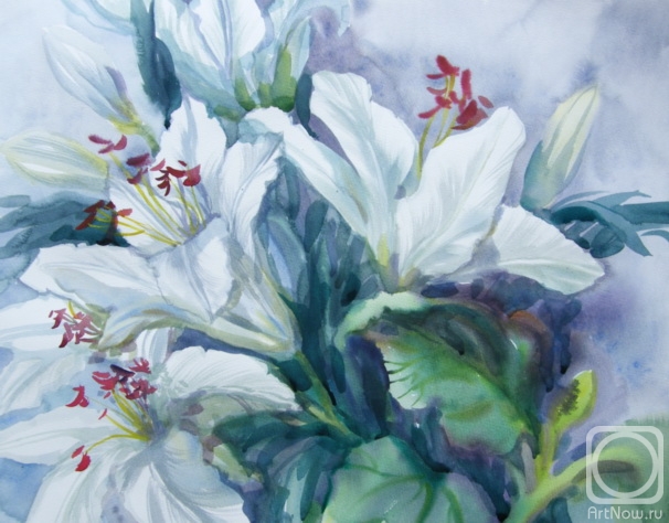 �������. ���������� ���������. ����������� �����